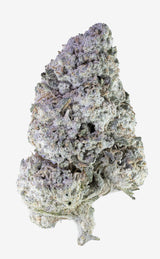 Funky Meltdown | 26% THCA