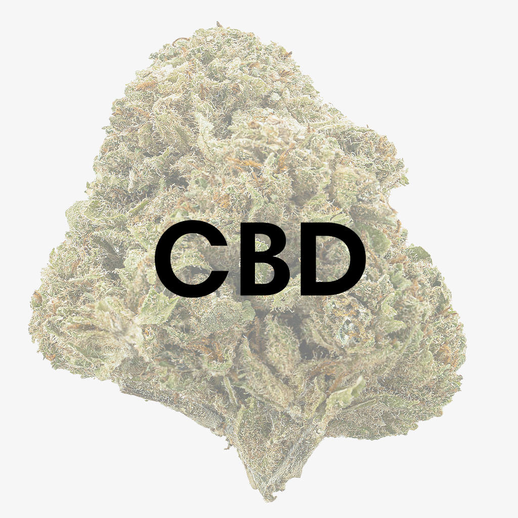 Lovlig cannabis - CBD - Herbz.dk