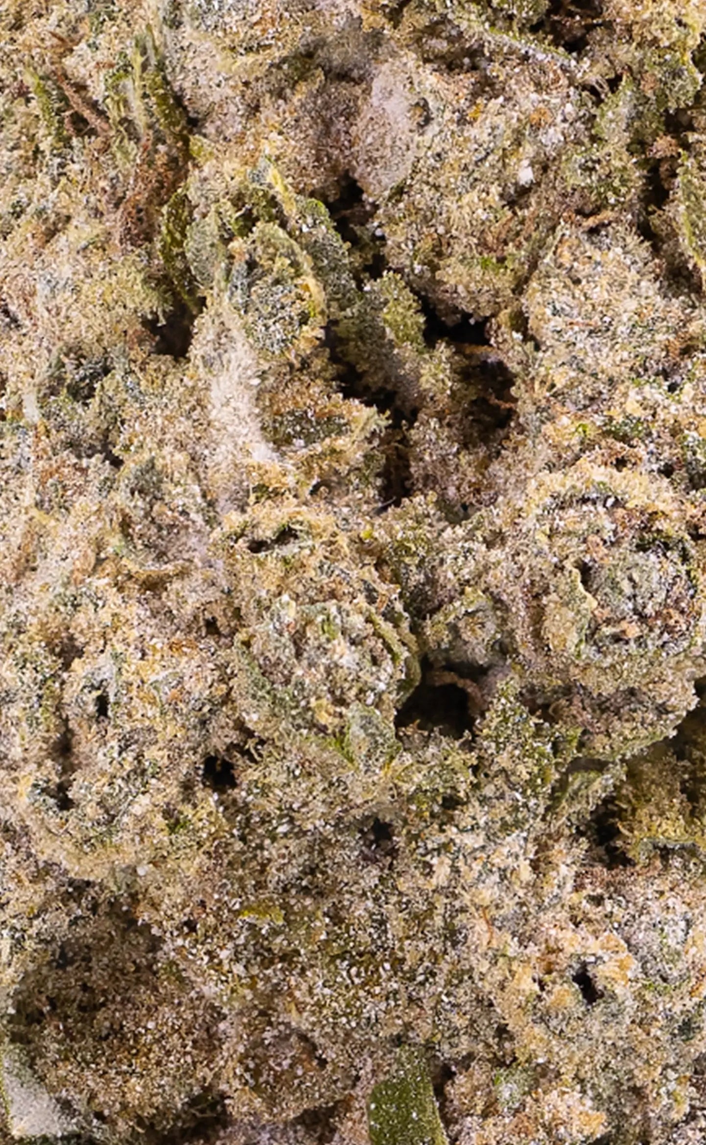 Berry White | 23% THCA