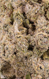 Berry White | 23% THCA