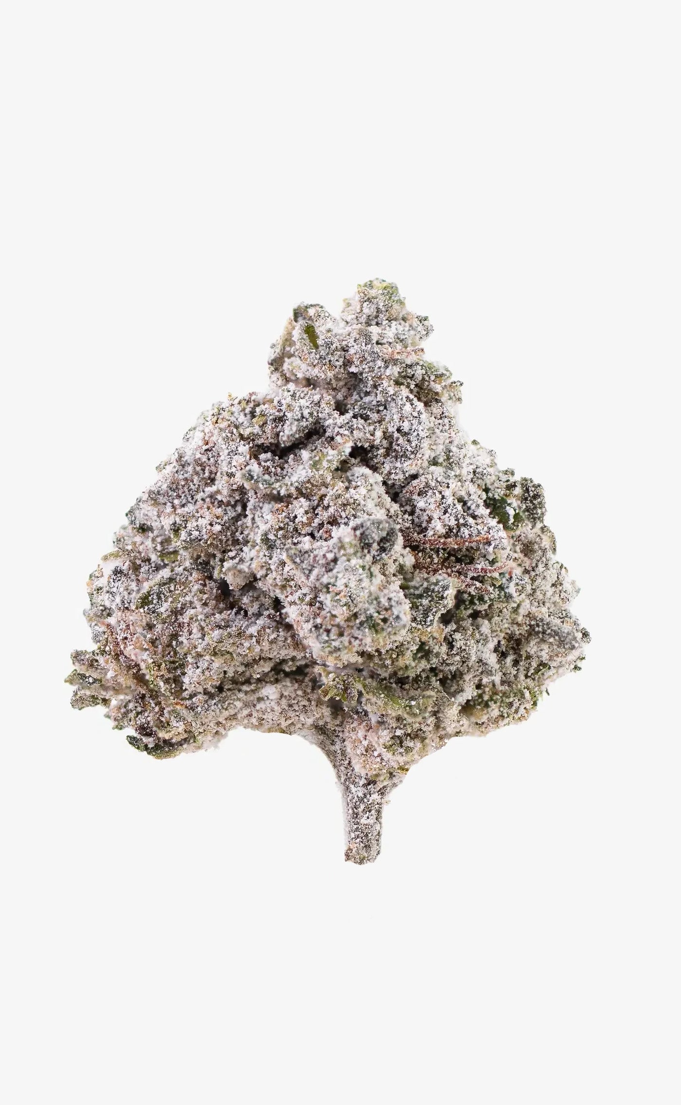 thca cannabis bud