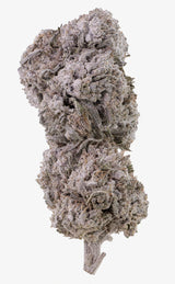 Frostad diesel | 25 % THCA