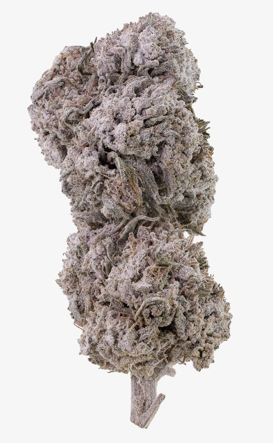 Frostad diesel | 25 % THCA