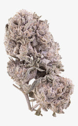 Polar Pineapple | 24% THCA