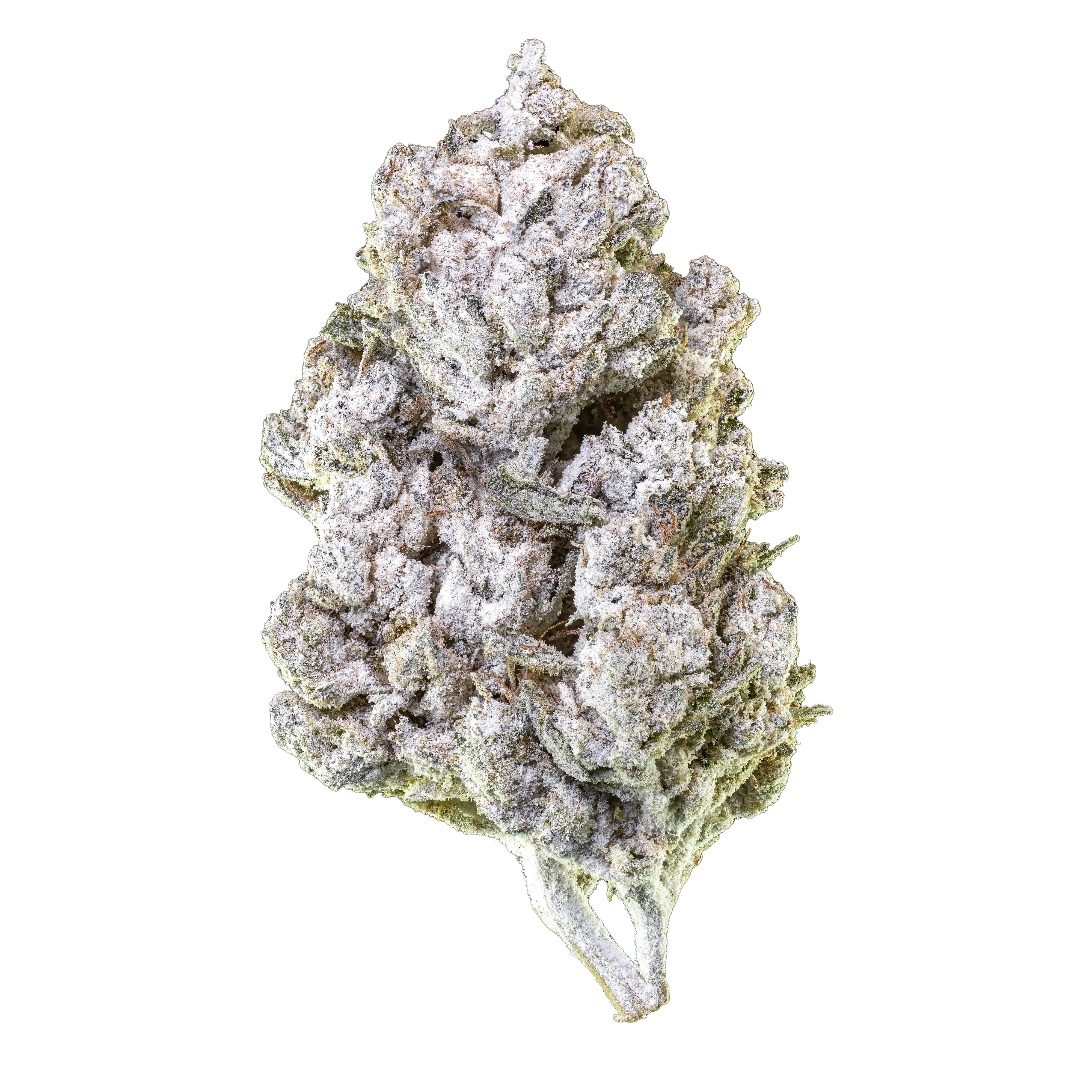 Amnesia Haze