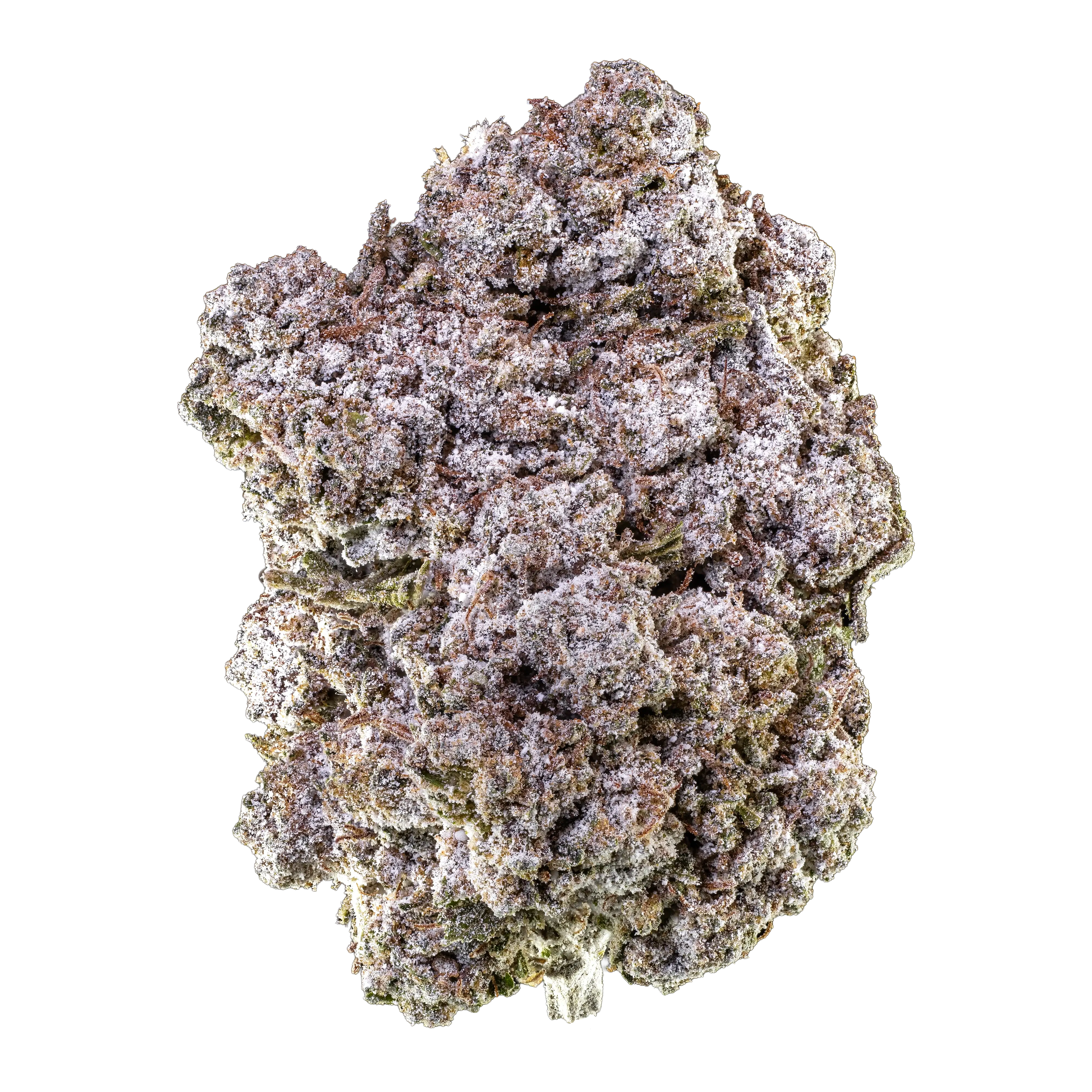 Bubblegum