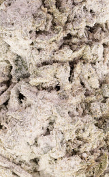 Flickscoutkakor | 25 % THCA