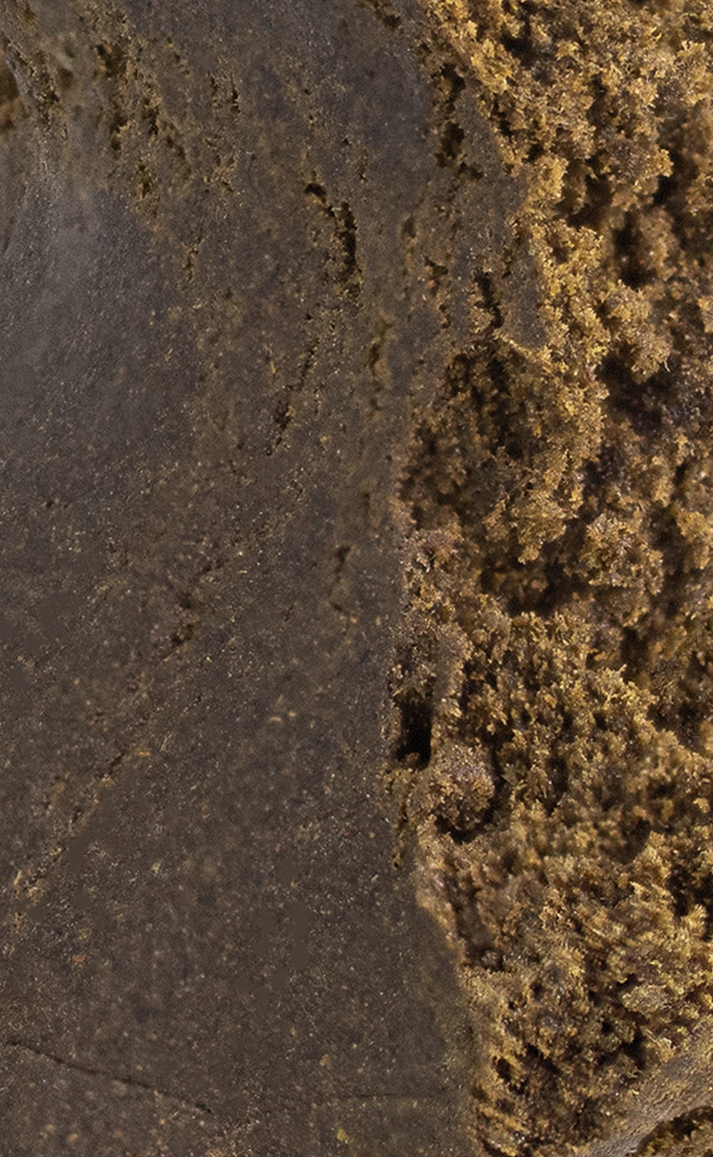 Klumpen | 25% THCA