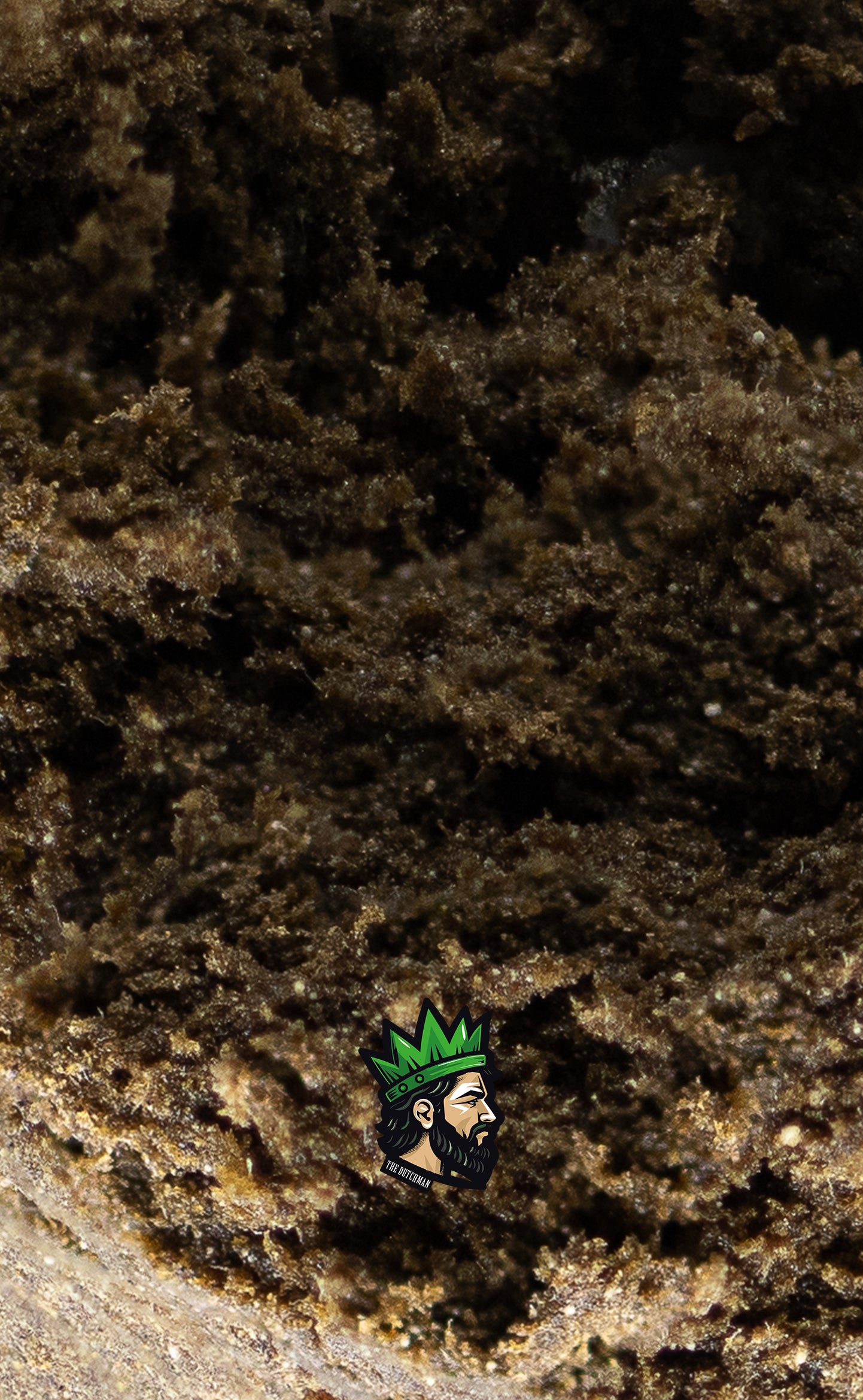 The Dutchman | Luxus Hash | 30% THCA