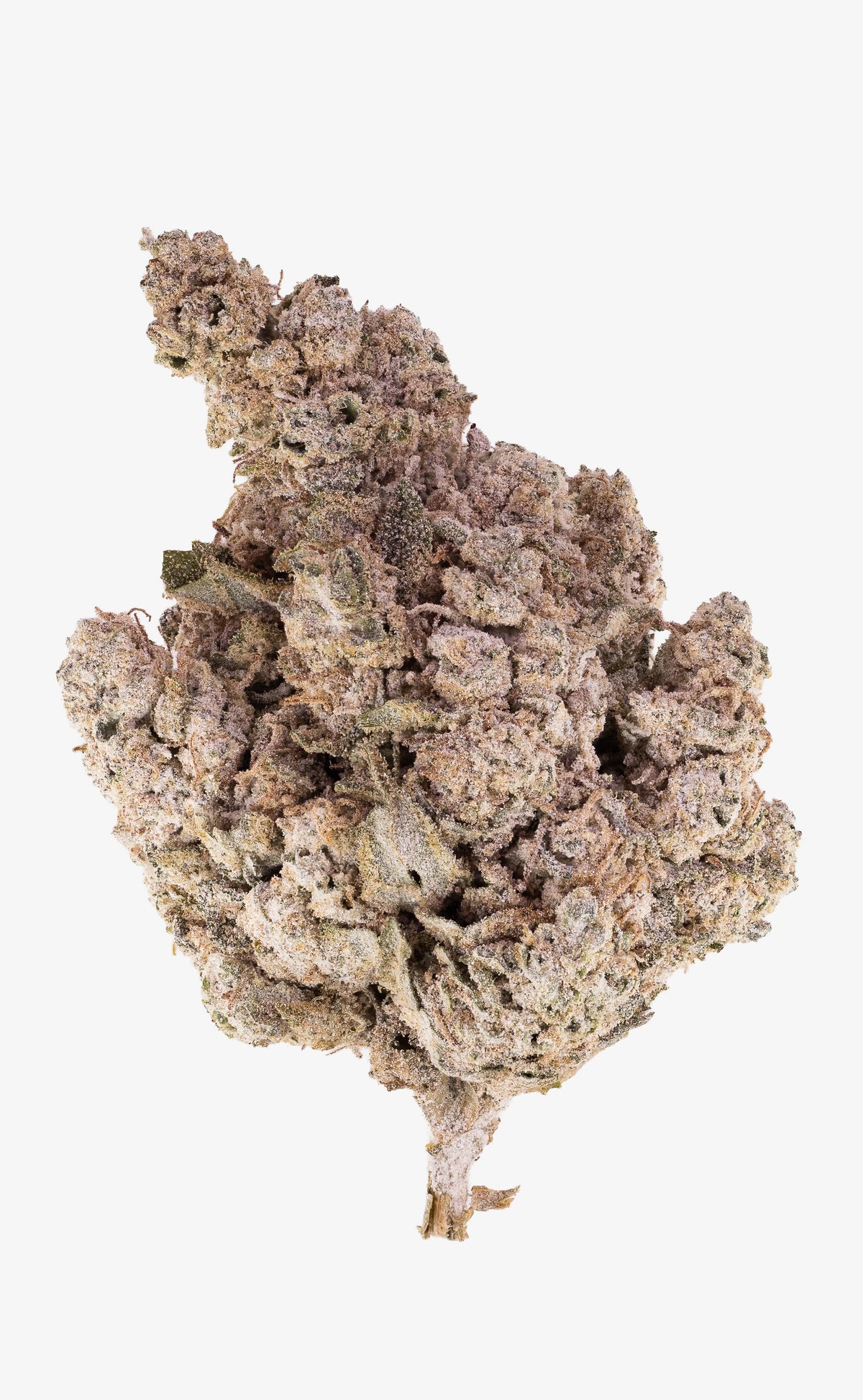 New York Diesel | 24% THCA