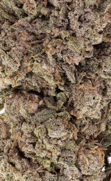 Orangello | 23 % THCA