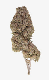 Orangello | 23 % THCA