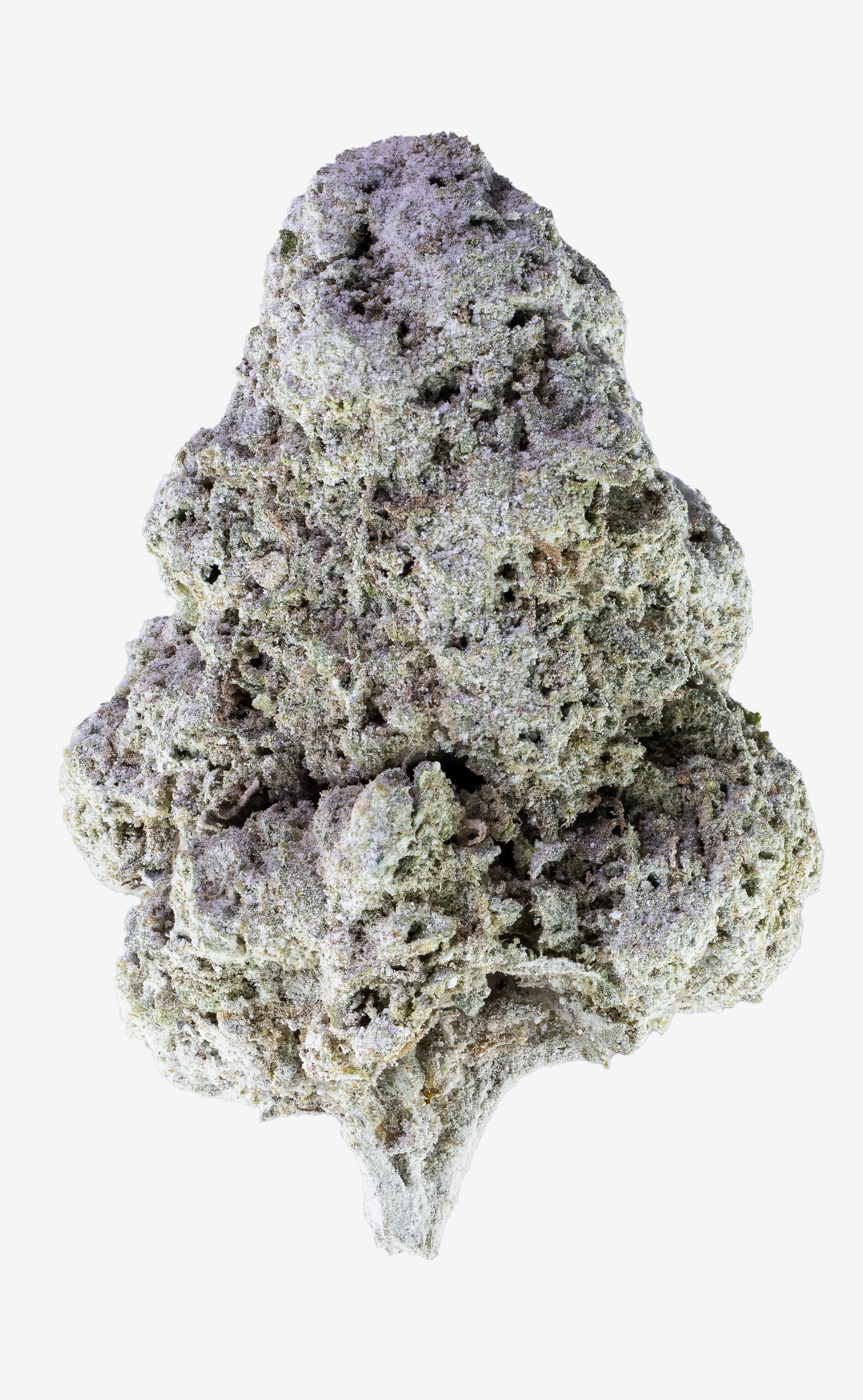 Stanky Unicorn | 23% THCA