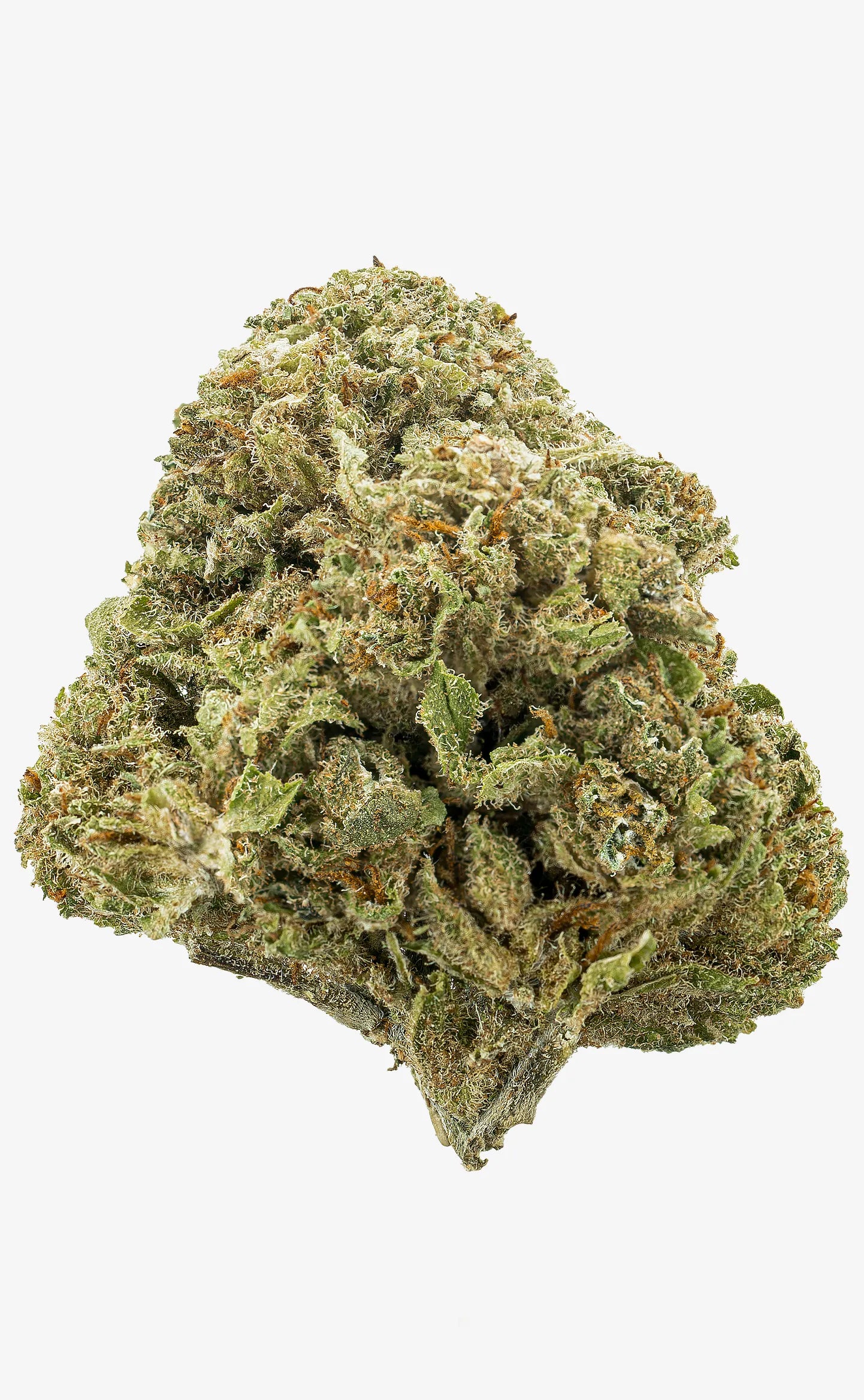 Zkittlez | 16% CBD - herbz.dk herbz.dk 1 g CBD Toppskott - laglig cannabis