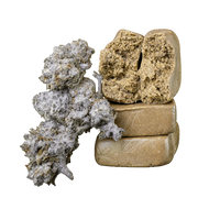 10g Orange Tangie Smalls 22% THCA og 10g Piatella 60% THCA samlet i Herbz bundle