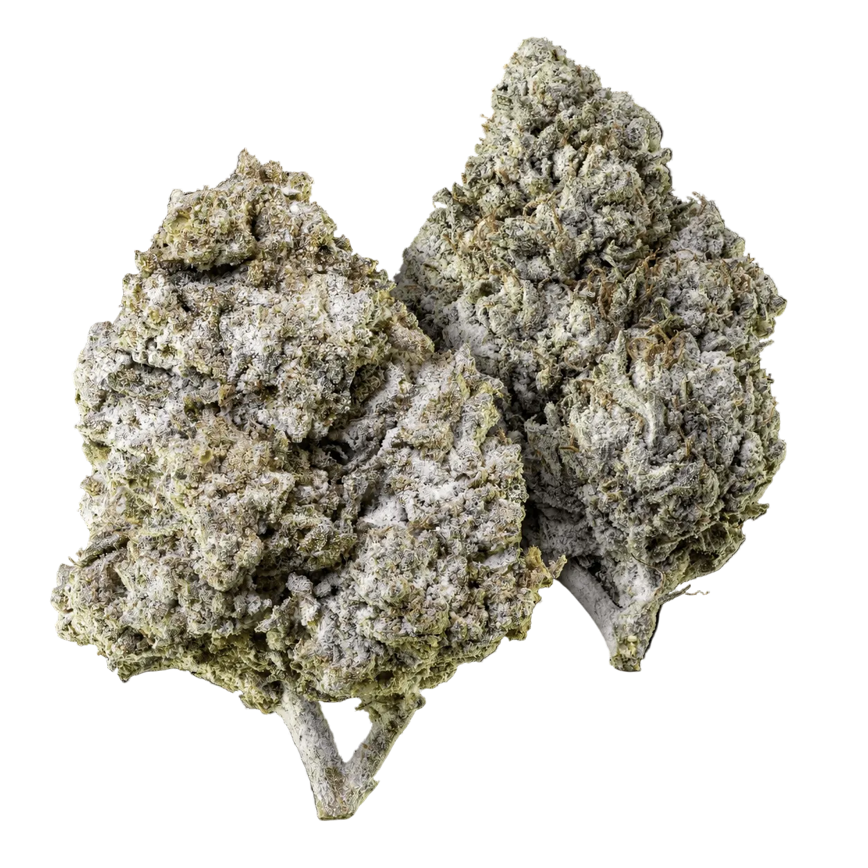 10g Thai Haze 23% THCA og 10g Amnesia Haze 23% THCA samlet i Herbz bundle