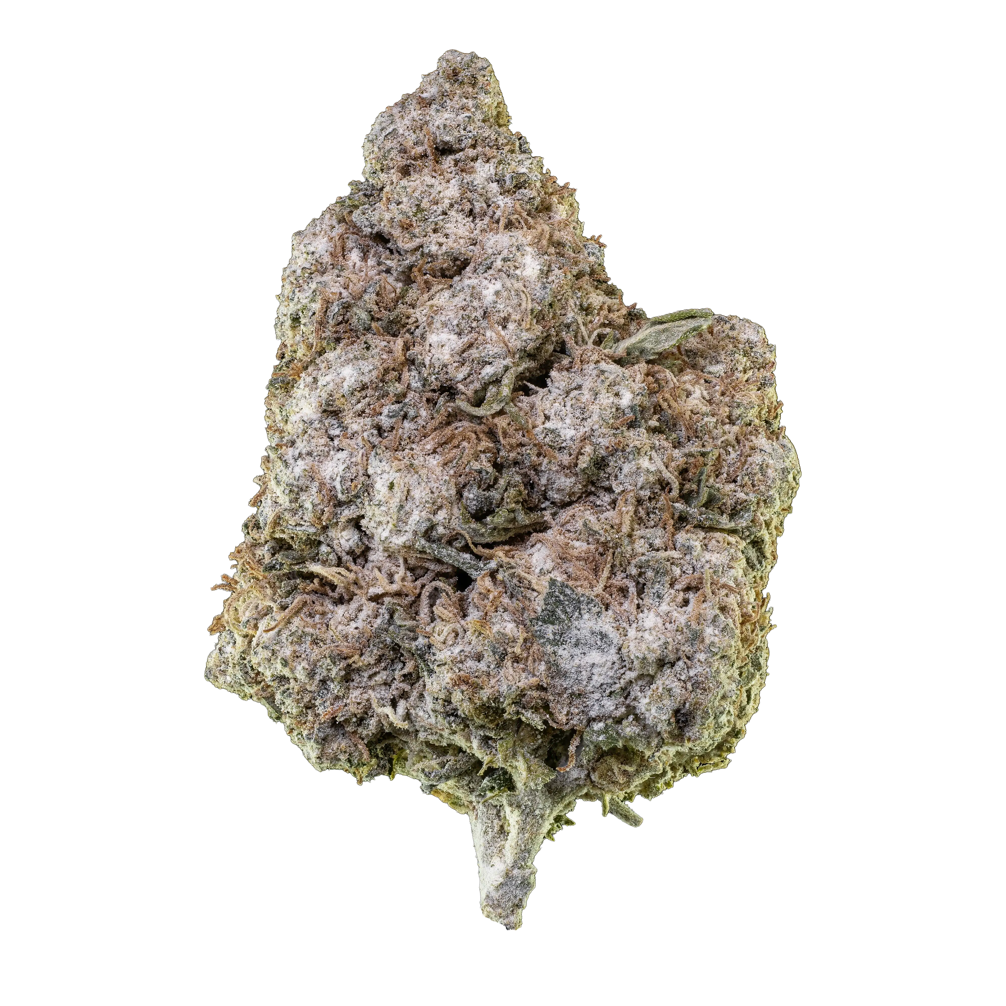 Herbz O.G. Zkittles 10g emballage med farverigt design og topskud