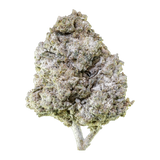 Herbz Thai Haze 10g emballage med grønt og gyldent jungleinspireret design